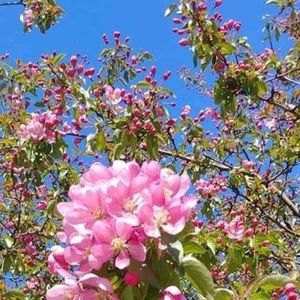 Meet your Posher, Khadija